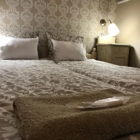 Tulipan Panzio * ソルノク