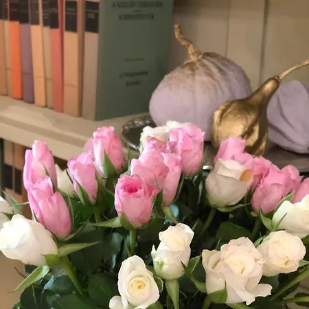 Tulipan Panzio ソルノク