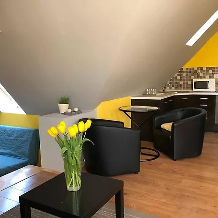 Tulipan Panzio Szolnok