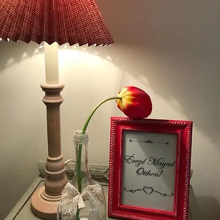 Tulipán Panzió