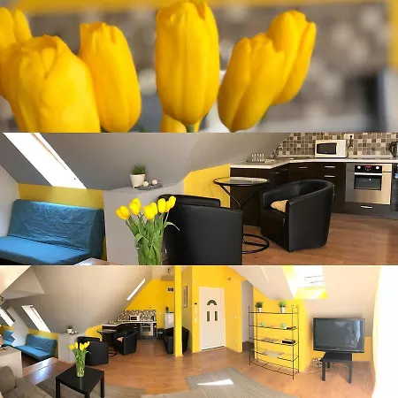 Tulipán Panzió * Szolnok