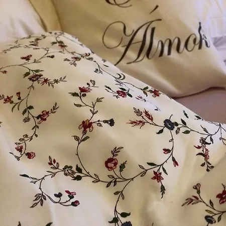 Tulipan Panzio ソルノク