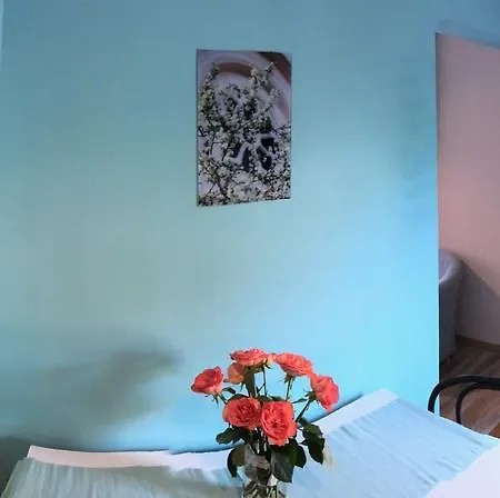Tulipan Panzio Nocleg ze śniadaniem