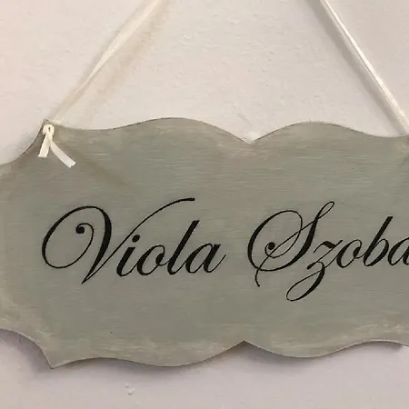 Tulipan Panzio ベッド・アンド・ブレックファスト ソルノク