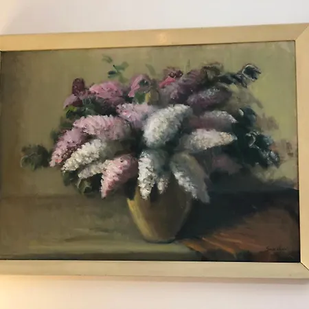 Tulipán Panzió *