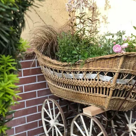 ベッド・アンド・ブレックファスト Tulipan Panzio *