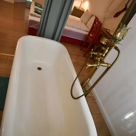 ベッド・アンド・ブレックファスト Tulipan Panzio *