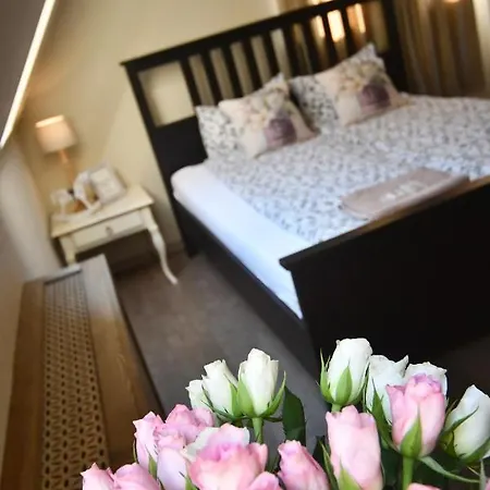 ベッド・アンド・ブレックファスト Tulipan Panzio ソルノク