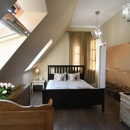 ベッド・アンド・ブレックファスト Tulipan Panzio ソルノク