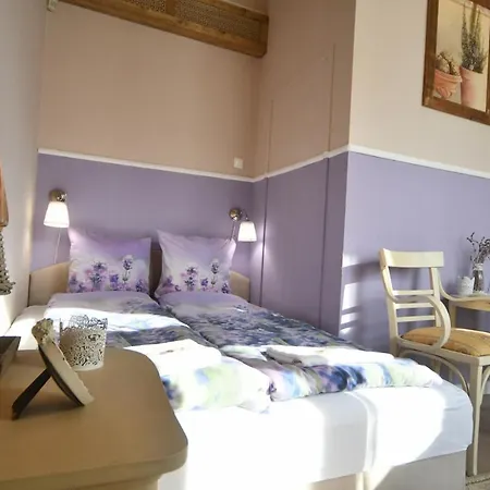 Tulipan Panzio * ソルノク