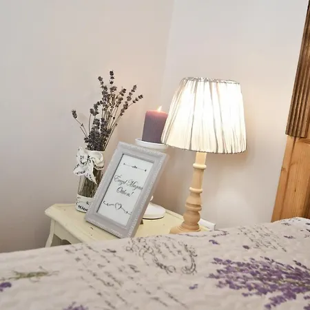 ベッド・アンド・ブレックファスト Tulipan Panzio *