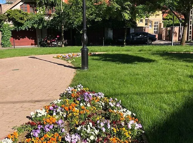 Tulipan Panzio Szolnok