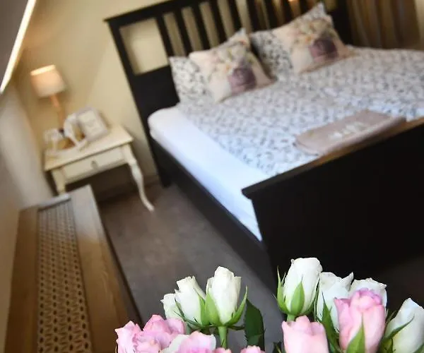 Bed and breakfast Tulipán Panzió Szolnok