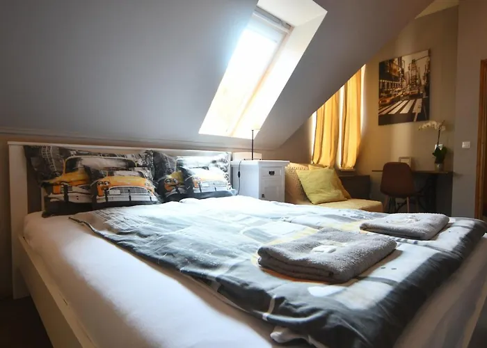 Tulipan Panzio Nocleg ze śniadaniem